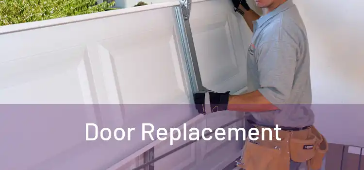  Door Replacement 