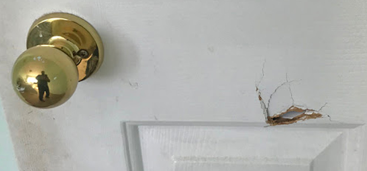 interior door hole repair La Mirada